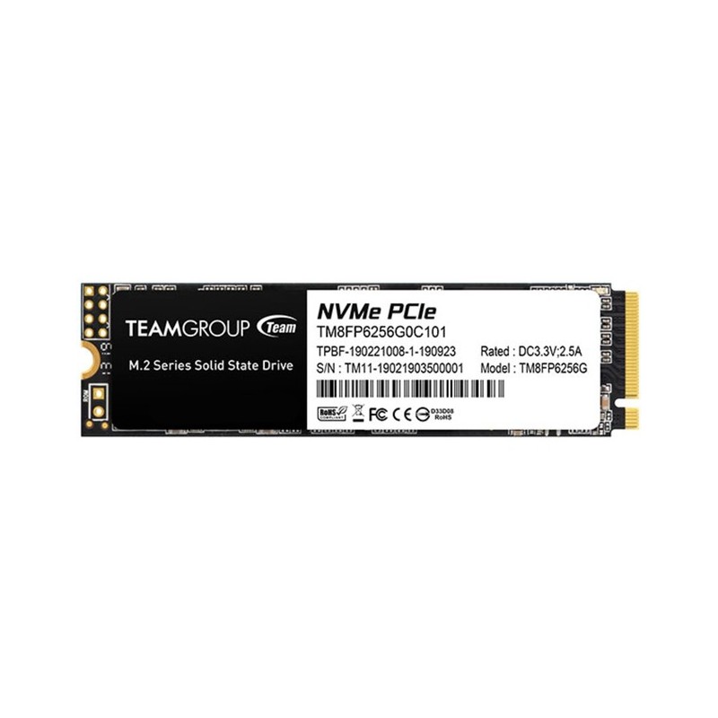 SSD Teamgroup 256GB MP33 M.2 (TM8FP6256G0C101)