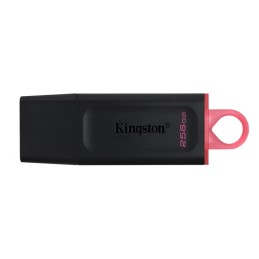 PENDRIVE KINGSTON 256GB...