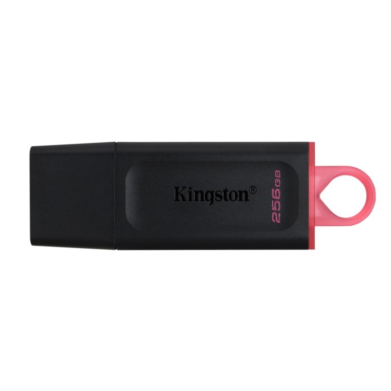 PENDRIVE KINGSTON 256GB DTX/256GB USB 3.2 GEN1