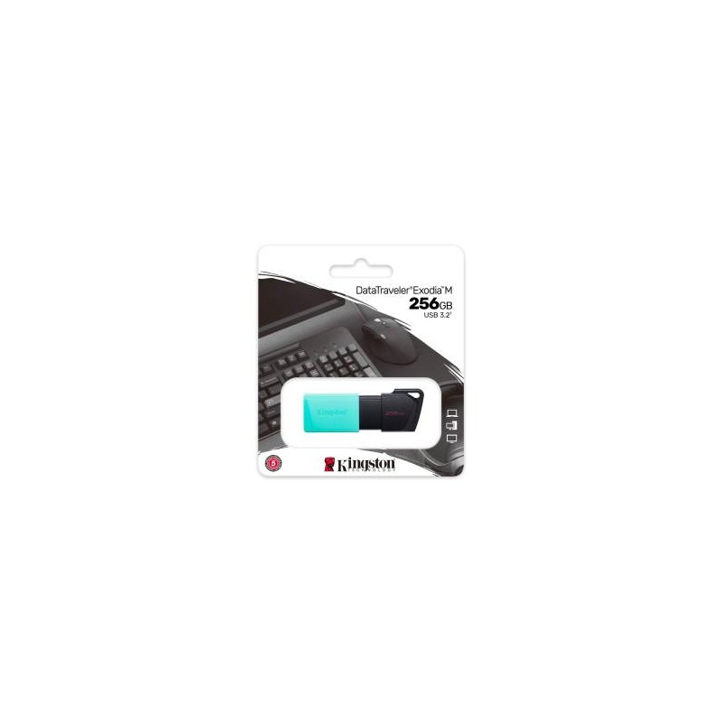 Pendrive Kingston USB-A 3.2 256GB DTXM/256GB Nero/Azzurro