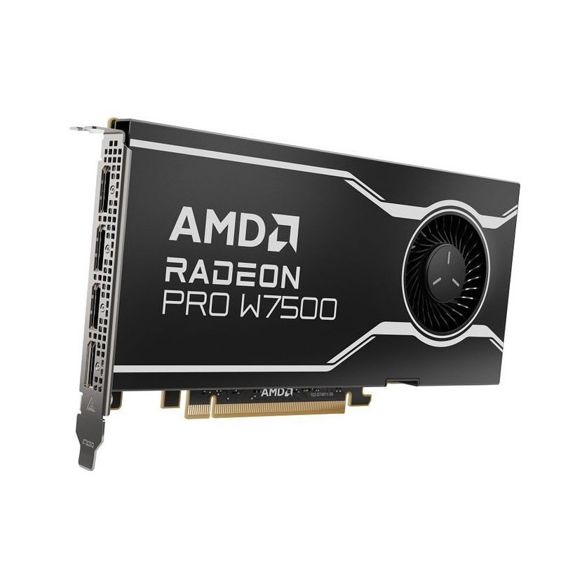 SCHEDA VIDEO RADEON PRO W7500 8 GB DDR6 (100-300000078)